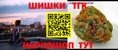 МДПВ Будённовск