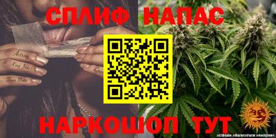 МДПВ Будённовск