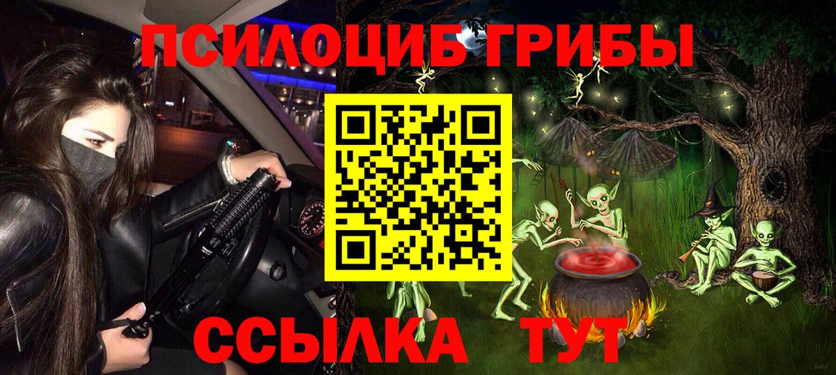 Галлюциногенные грибы GOLDEN TEACHER Будённовск